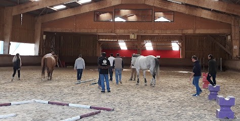 Equicoaching Normandie | Training Pour Manager - Pégase Consult, Centre de Formation à Marolles