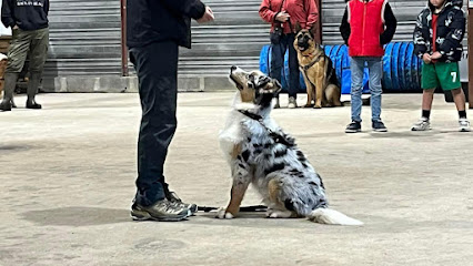Centre De Formation Educateur Canin Un Chien Idéal, Centre De Formation à Campsegret