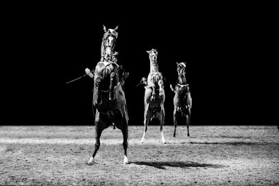 Cadre Noir De Saumur, Centre de Formation à Saumur