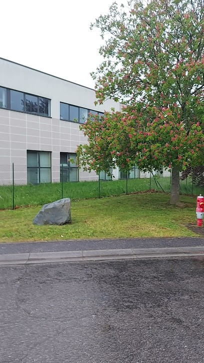 Skayl Obernai, Centre de Formation à Obernai