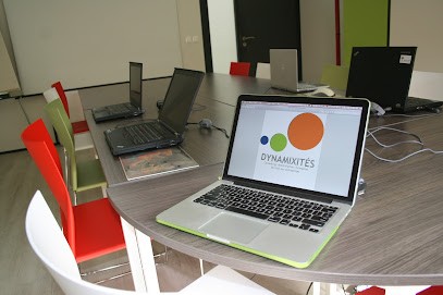Dynamixites, Centre de Formation à Lyon 09