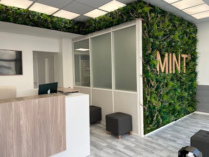 Mint Formation, Centre de Formation à Villeurbanne