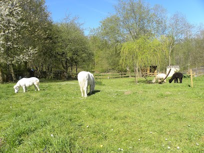 Reiki Usui Energie, Centre de Formation à Saint-Pierre-Aigle