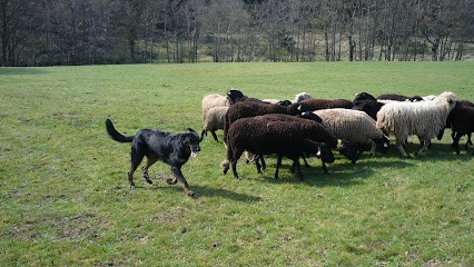 The Farm Belette Joyeuse, Centre de Formation au Lac-d'Issarlès