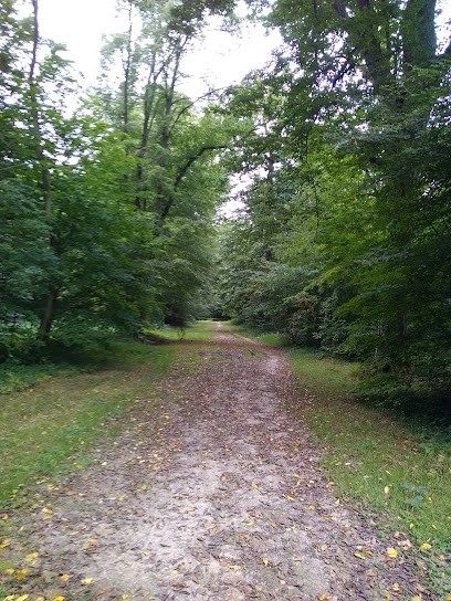 Ces Formation, Centre de Formation à Villevaudé