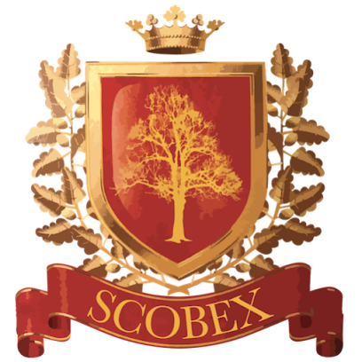 Scobex (Groupe Isesem) Centre De Formation à Lyon 01