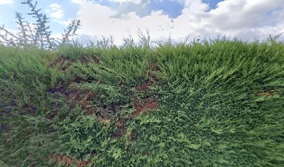 LR Plasticonsult, Centre de Formation à Arnas