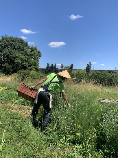 Savoir-Faire Et Découverte, Centre de Formation à Rouen