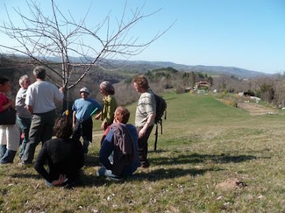 Arboréal (Aaa'rièges), Centre De Formation à Foix