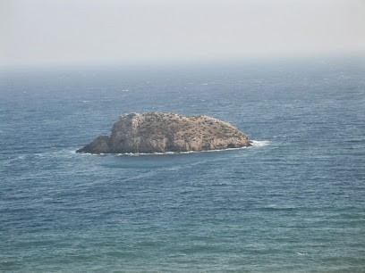 Paffenhoff Alexandre, Centre de Formation à Toulon