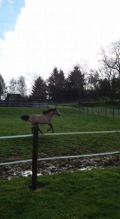 Thoma's Western Farm, Centre de Formation à Maux