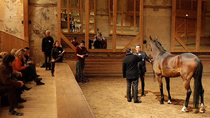 L'académie Equicoaching, Centre De Formation au Pin-au-Haras