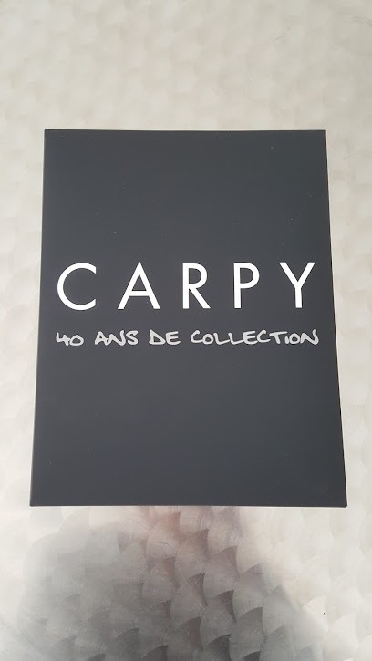 CARPY FORMATION, Centre de Formation à Tours