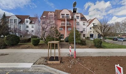 Ethnomedecine Monde, Centre de Formation à Obernai