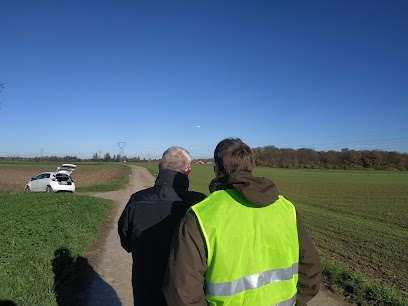 Drone On Air - Strasbourg Centre De Formation à Entzheim