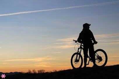 Pyrénées Plaisir Fmv Training Mecanique Vélo, Centre de Formation à Issor