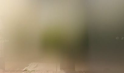 Tama-Do, Centre de Formation à Dijon