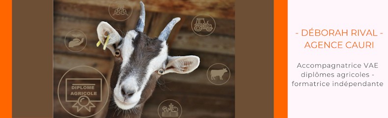 Agence Cauri - Déborah Rival, Centre de Formation à Verrières-en-Forez