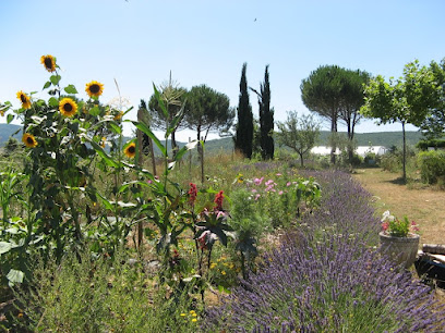 Permaculture Provence, Centre De Formation à Dauphin