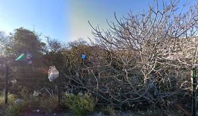 Red Line Formation, Centre de Formation à Marseille 15