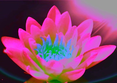 Training Reiki Usui Et Karuna Par Laura Tolossi Et Soins Lauralice, Centre de Formation à Orliénas