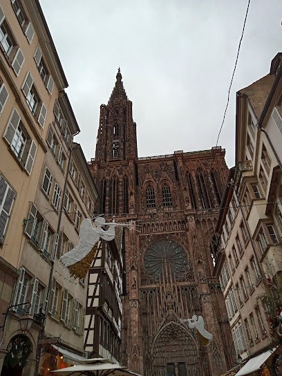 Je Passe Mon Bafa, Centre de Formation à Strasbourg