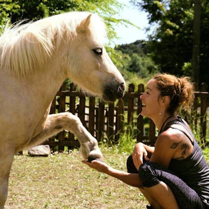 Cfpgo, Centre de Formation à Audierne