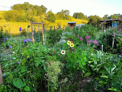 Owl Life, Centre de Formation à Cazes-Mondenard