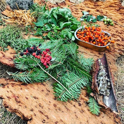 Alpha Survie - Stage De Survie, Centre de Formation à Saint-Sauveur-en-Rue