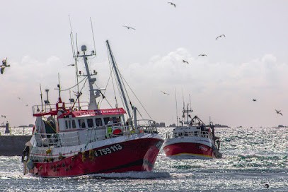 Photo Stage, Centre de Formation à Morlaix