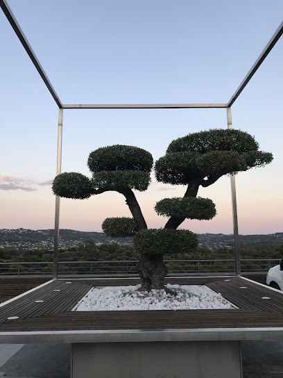 A Star Formation, Centre de Formation à Grasse