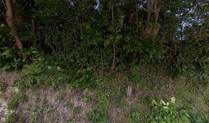 Jacques Le Goff, Centre de Formation à Quimper