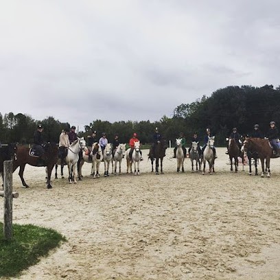 Formations Equines Rochefort Océan, Centre de Formation à Saint-Cyr-du-Doret