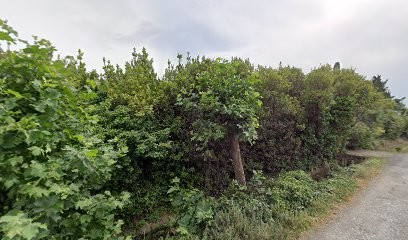 Ei Formation, Centre de Formation à Toulouges