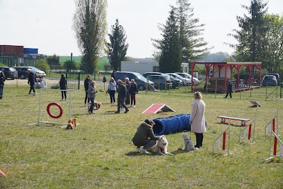 Nature Chien, Centre de Formation à Grisolles