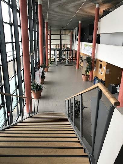 Ia La Roche-Sur-Yon | L'intelligence Apprentie, Centre de Formation à La Roche-sur-Yon