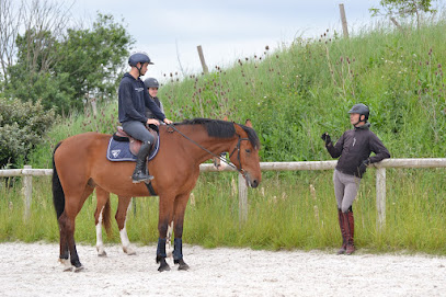 Cheval Conseil Formation, Centre De Formation à Ennezat