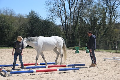 Equicoaching Deauville | Training Pour Manager - Pegase Consult, Centre de Formation à Saint-Arnoult