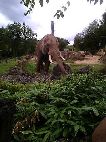 Iesc Formation, Centre de Formation à Hagondange
