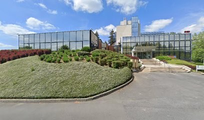 Sine Qua Langues, Centre de Formation à Saint-Quentin