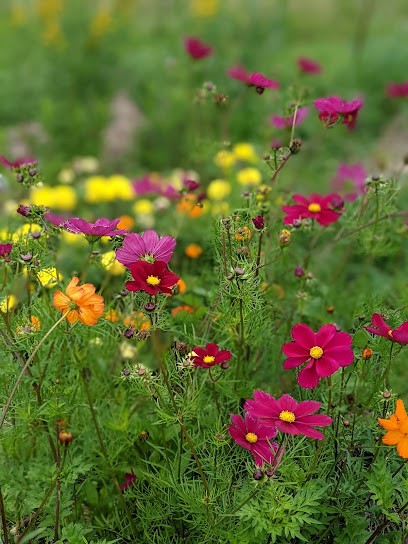 Micro Farm 1000 Colors, Centre de Formation à Héauville