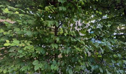 Phosphoria Par L'entreprise Medical, Centre de Formation à Malakoff