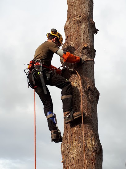 Adults 47 Professional Promotion Training Center, Centre de Formation à Sainte-Livrade-sur-Lot