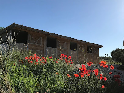 Domaine Des Hardies - Formation Massages Et Fascia, Complément Alimentaire Et Nutrition Équin, Centre De Formation à Sougères-en-Puisaye