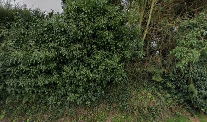 Habasque David, Centre de Formation à Ploumagoar