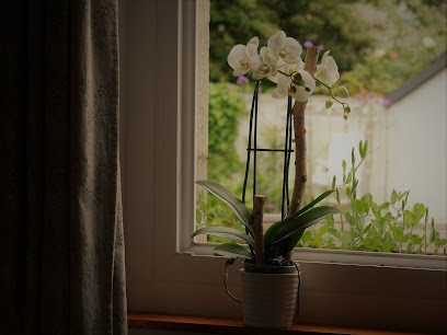 Terre De Reiki, Centre de Formation à Plonéour-Lanvern