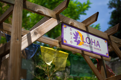 Dojo Aloha Centre De Formation à Aix-en-Provence