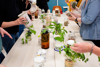 Ecole Bretonne D'herboristerie - Formations Plantes Aromatiques Et Médicinales - Algues - Gemmothérapie - Aromathérapie Centre De Formation à Plounéour-Ménez