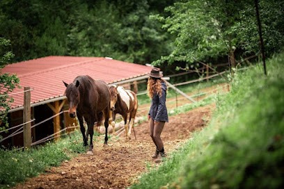 CENTRE EQUI-EMOTIONS - YOUR LIFESTYLE MENTOR, Centre de Formation à La Baume-d'Hostun