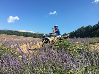 Sylka Formation, Centre de Formation à Avignon
